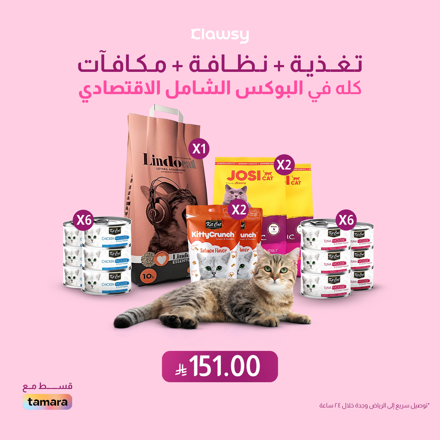 البوكس الشامل الاقتصادي - عناية القطط بأفضل الأسعار | كلاوزي