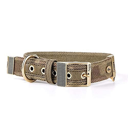 ماي فاميلي ويست طوق اخضر وسط 45×2.2سم