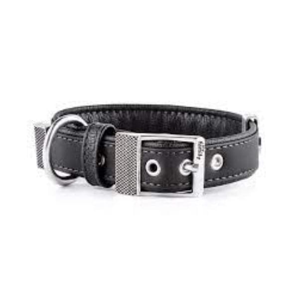 ماي فاميلي بلباو مشد جلد للكلاب أسود 110×1.6 سم