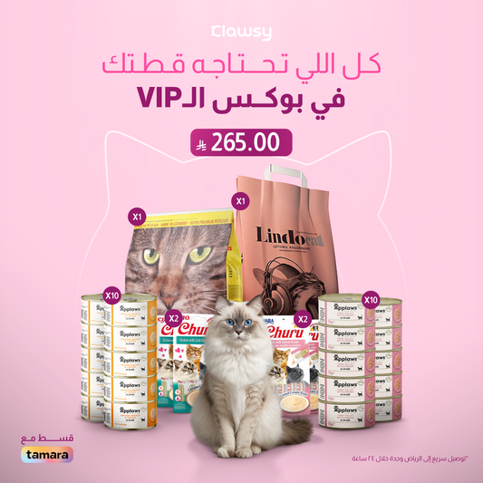 كلاوزي VIP بوكس - العناية الفاخرة بالقطط
