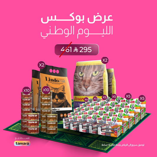 بوكس اليوم الوطني