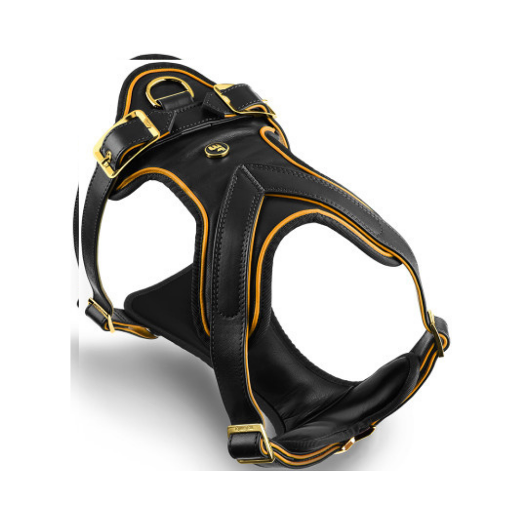 ماي فاميلي تراث صدرية جلد اسود و ذهبي