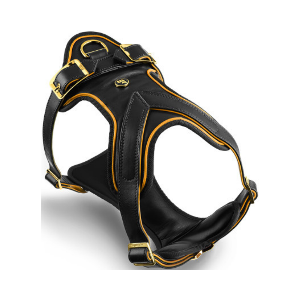 ماي فاميلي تراث صدرية جلد بني/تركواز