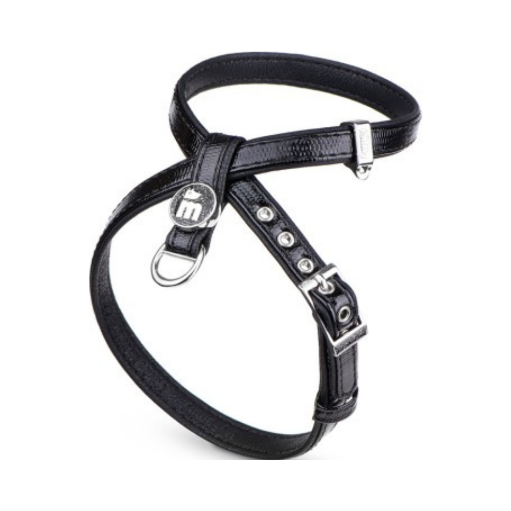 ماي فاميلي سان تروبيه صدرية اسود