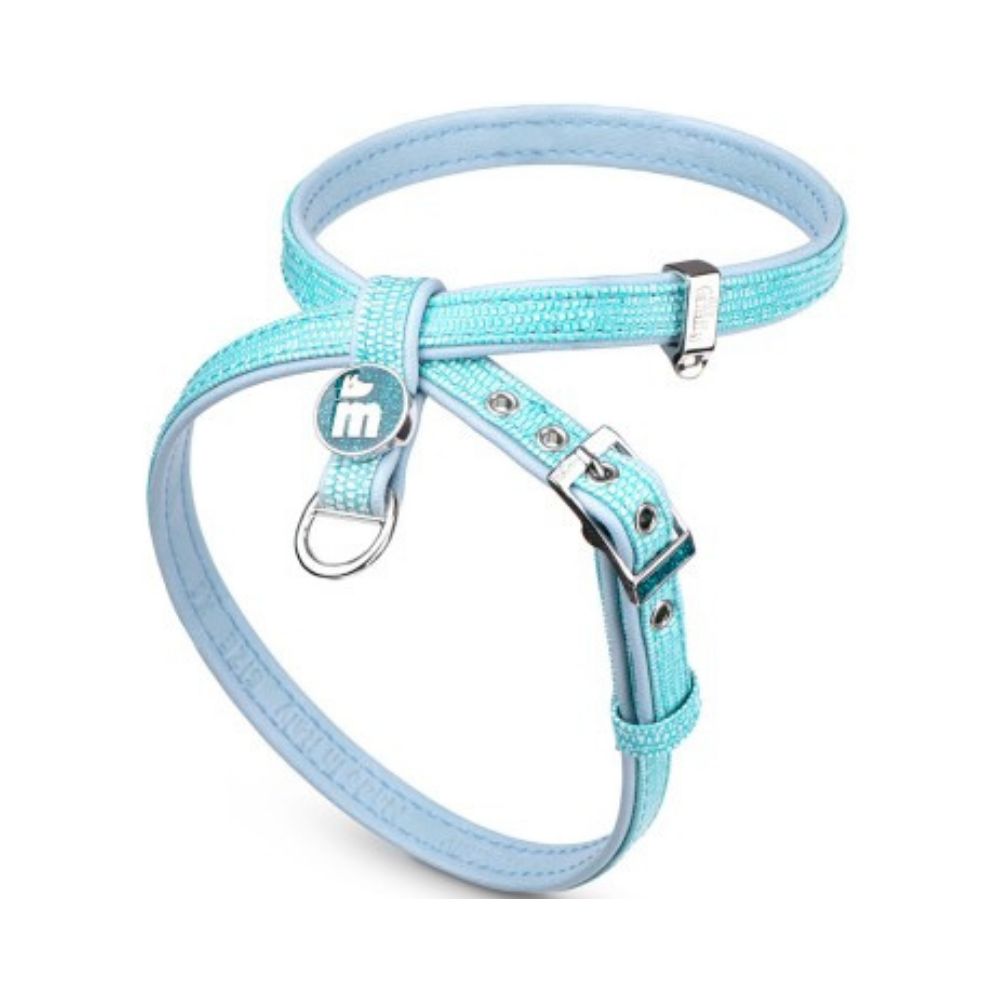 ماي فاميلي سان تروبيه صدرية تركواز