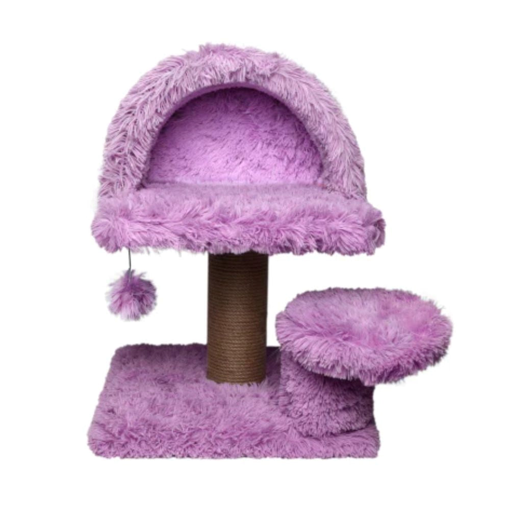 فيلاين قو خداشة للقطط صغيرة مع بيت وكرة تفاعلية متعددة الالوان