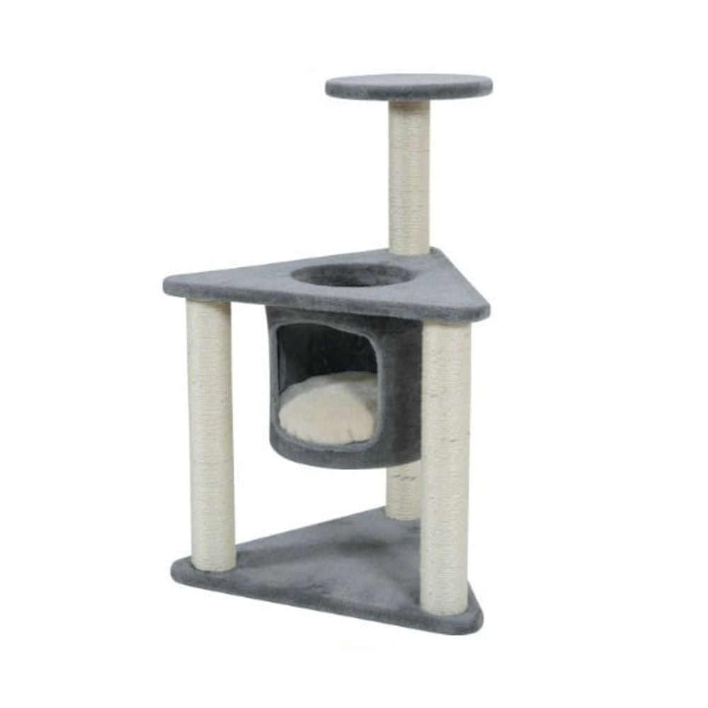 زولكس خداشة كيا صغيرة