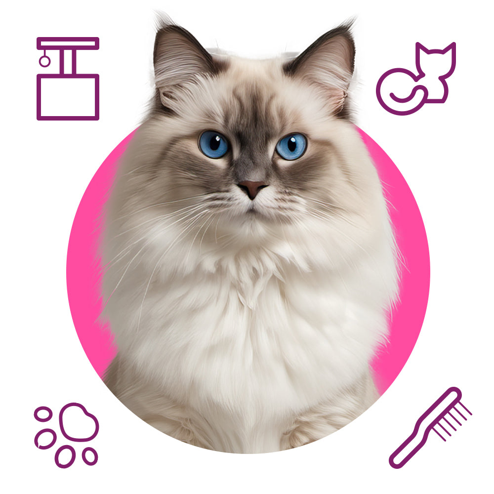 مستلزمات القطط - عروض مميزة من كلاوزي