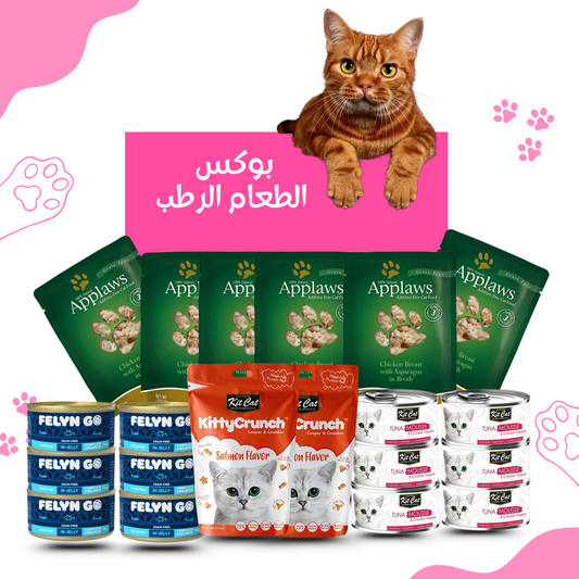 بوكس الطعام الرطب